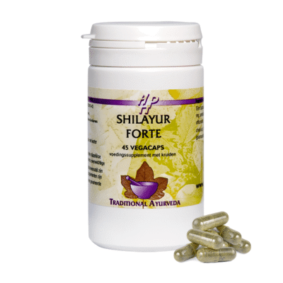 Shilayur forte - 45 plantaardige capsules